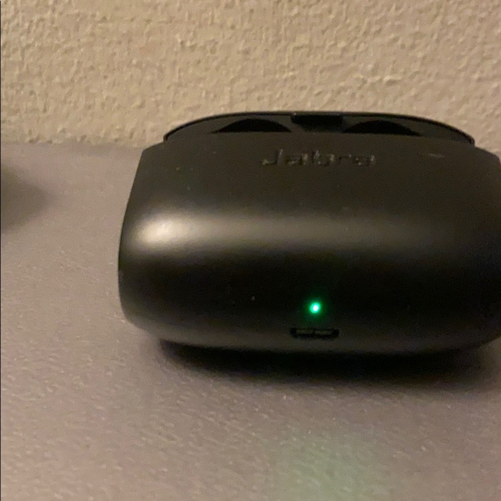 Earbuds (Case Only)